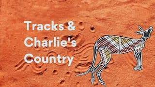 Comparing Tracks and Charlie's Country