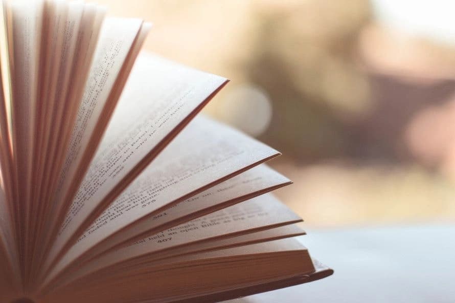 VCE Literature Essay Approaches - Not a Language Analysis