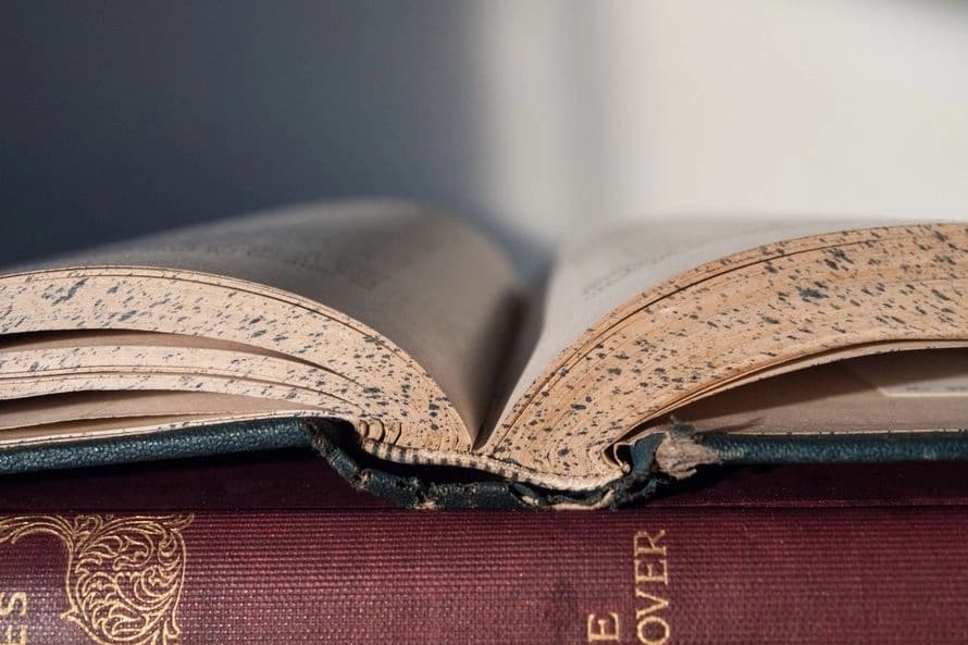 How to study for literature when you really don’t feel like studying for literature