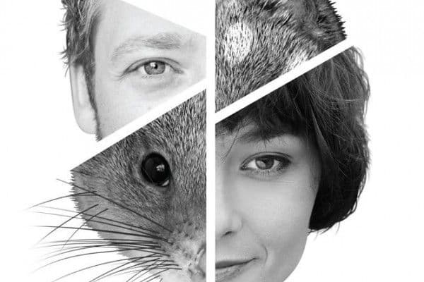 Extinction by Hannie Rayson