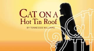 Cat on a Hot Tin Roof