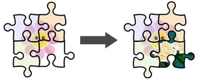 Coherence and Cohesion