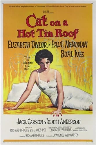Crafting a Literary Perspectives Essay: Cat on a Hot Tin Roof
