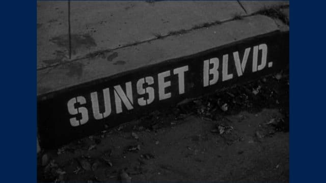 Analysis of Film Techniques in Sunset Boulevard by Billy Wilder